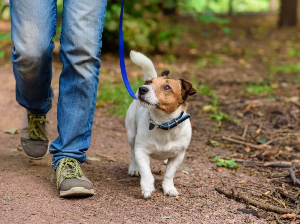 istock 1143749718 copy