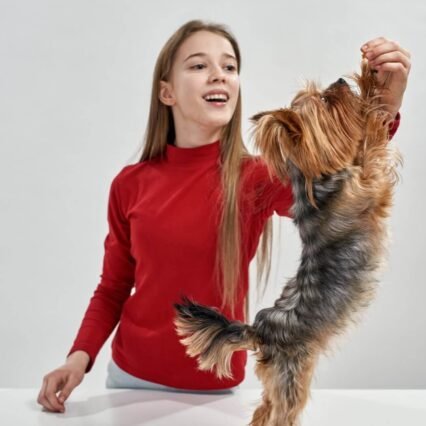 istock 1355848199