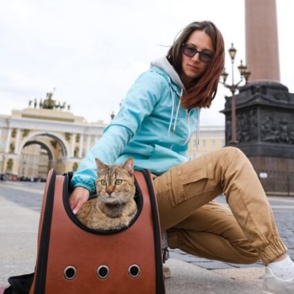 istock 1357088404