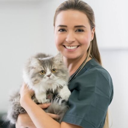istock 979195912