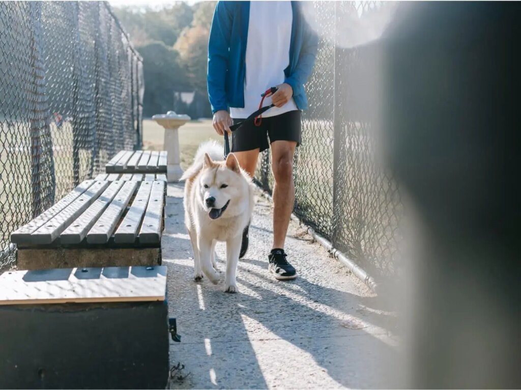 pexels zen chung 5749777