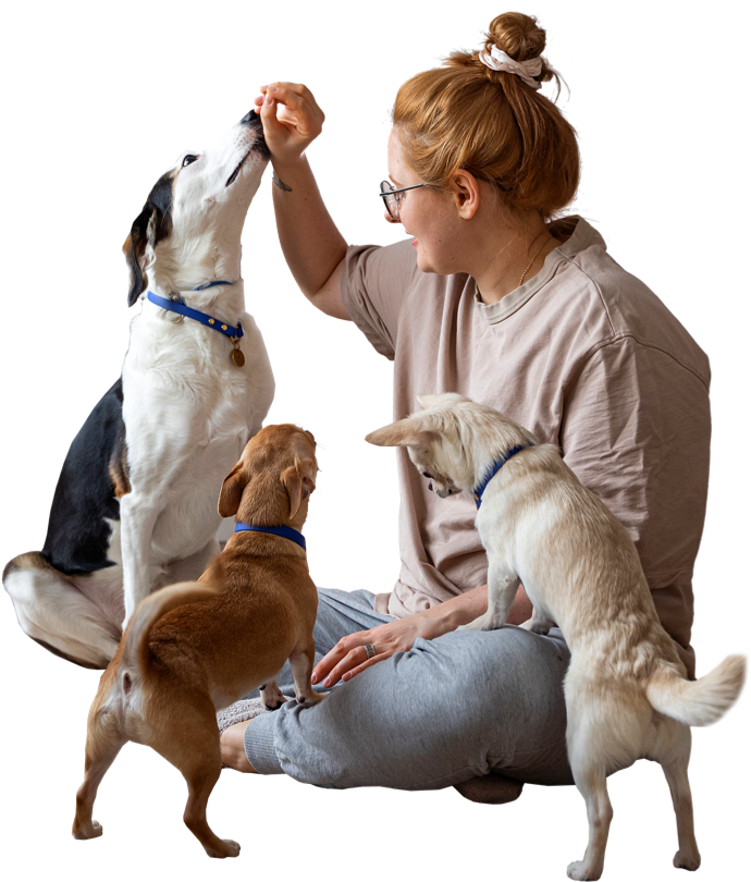 istock 1391392455