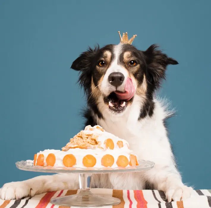 istock 1140125261