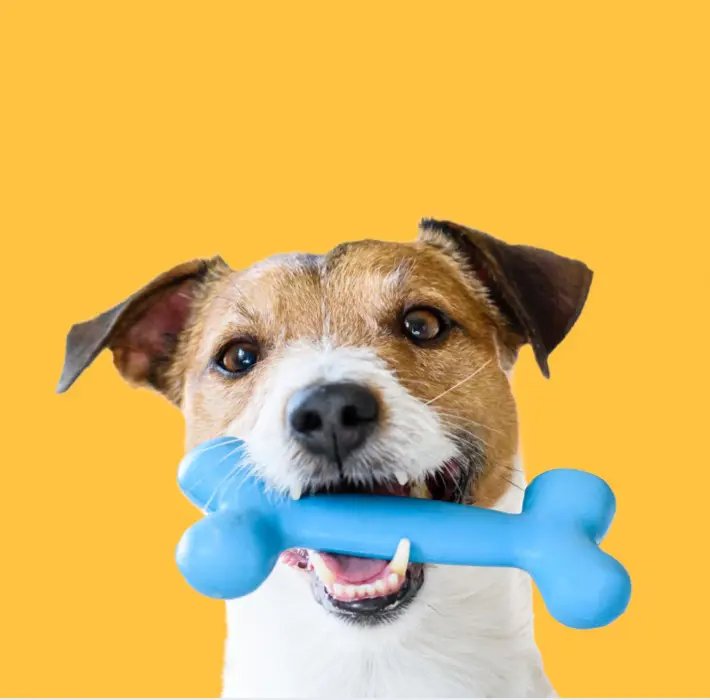 istock 1271793136