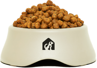 istock 1326701268