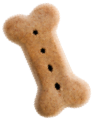 istock 171282583 1