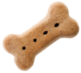 istock 171282583 2