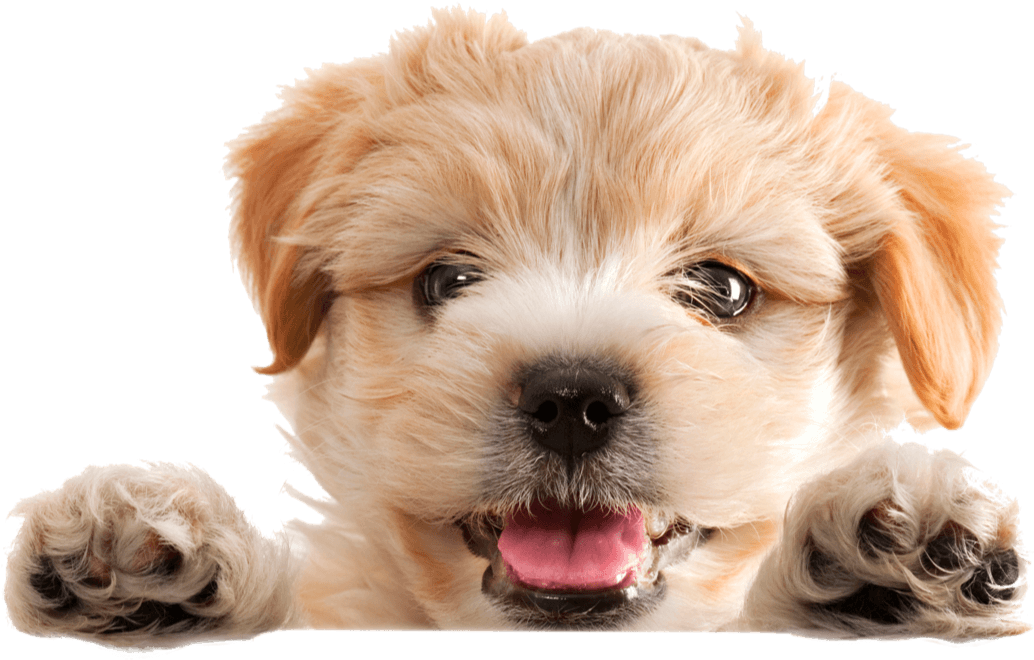 istock 176164794